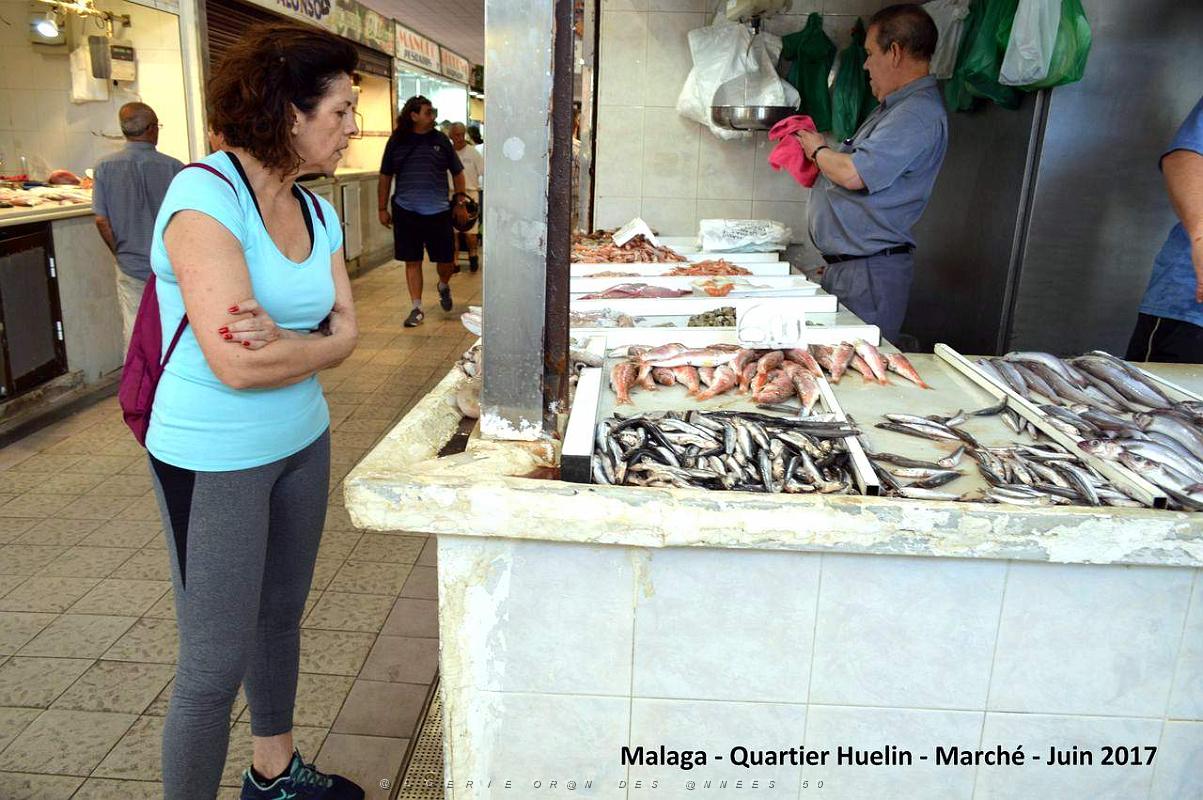 305- Malaga Huelin.JPG